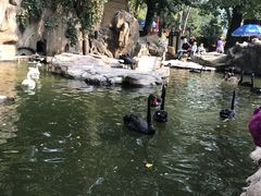 -燕塞湖鸟语林景区