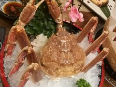 -蟹将军·松叶蟹和牛日料放题自助(K11店)