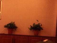 -紫荆花·影院足道·SPA(千灯店)