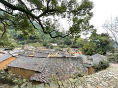 -杨家堂村