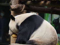 -南昌动物园