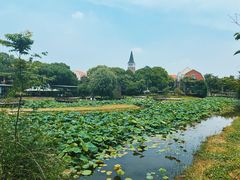 -美兰湖景区