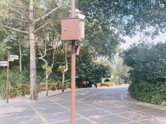 -深圳仙湖植物园