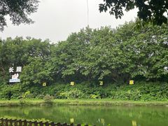-广州长隆飞鸟乐园