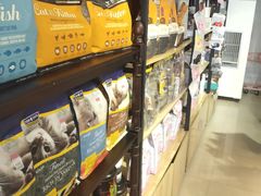 -70cat德文卷毛猫·缅因猫纯种猫舍