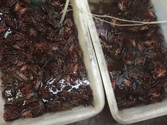 -龙虾奇迹(大华三路店)