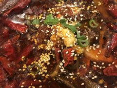 -熊猫川菜馆 panda chine
