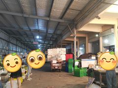 -鑫朱雀农贸批发市场