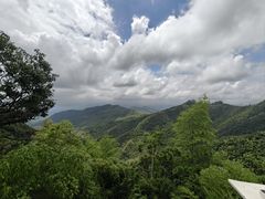 -莫干山风景区