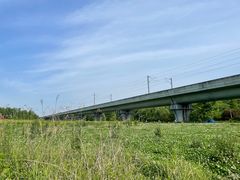 -桤木河湿地公园