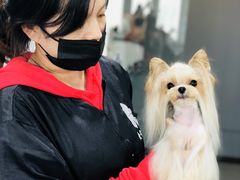 -欣怡宠物店