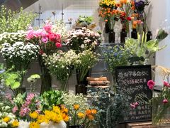 -植物学家的女儿(北马道巷店)