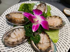 活鲍鱼-金龙·打边炉(南京西路店)