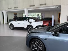 -中鑫之宝领克中心(姚家园店)