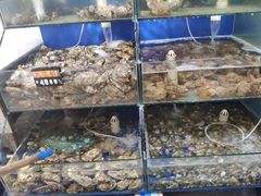 水产区-雅逸居海鲜小厨