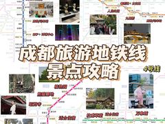 -成都大熊猫繁育研究基地
