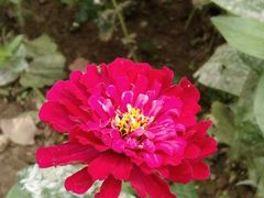 -怡海公园(桂城街道)