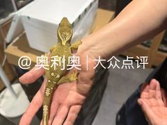 -酷以爬仙阁实体爬宠店·守宫·蜥蜴·专业繁育