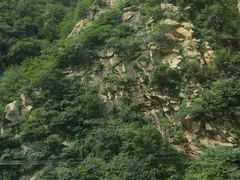 -王顺山国家森林公园