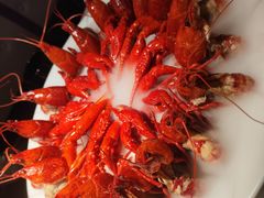 -红盔甲·小龙虾(天钥桥店)