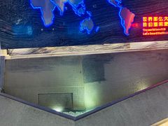-法兰度航空主题餐厅(河源店)