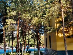 -新疆医科大学第一附属医院