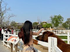 -祥源·阜阳生态乐园