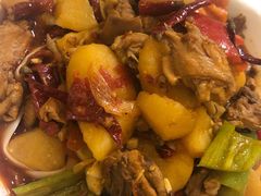 新疆大盘鸡-新疆红柳花餐厅(新洲店)