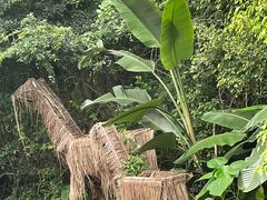 -华侨城湿地公园
