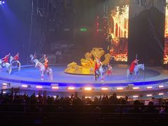 -广州长隆国际大马戏