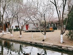 -三里河公园