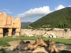 -芽庄珍珠岛游乐园