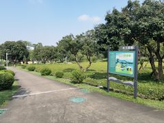 -紫马岭公园