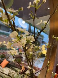 -花隐·美芙炫海菲秀皮肤管理中心