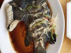-海岛渔村大酒店(云霄路店)