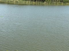 -昆山城市生态森林公园