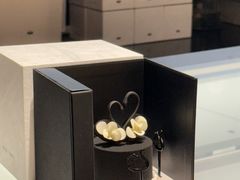 -BLACKSWAN黑天鹅(环球店)