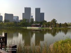 -西海子公园