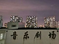 -皇家茱莉亚艺术明星训练基地