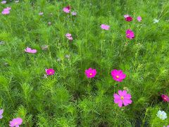 -长春公园(普阳街道)