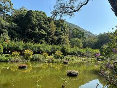 -深圳仙湖植物园