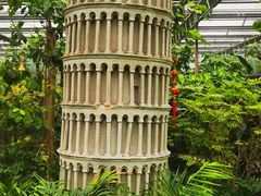 -南宫五洲植物乐园