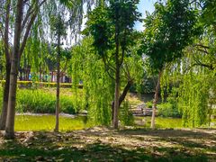 -商丘市人民公园