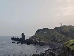 -涉地可支