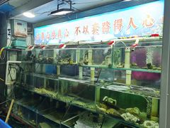 水产区-来之顺海鲜菜馆·青岛菜(栈桥店)