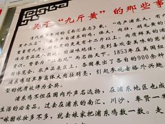 -九斤黄三黄鸡专卖店