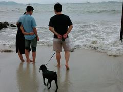 -杨梅坑