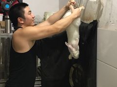 -功夫兔