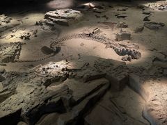 -自贡恐龙博物馆