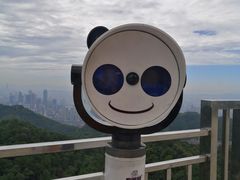 -大金鹰园
